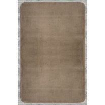 Trudy Brown Modern Plush Soft Area Rug