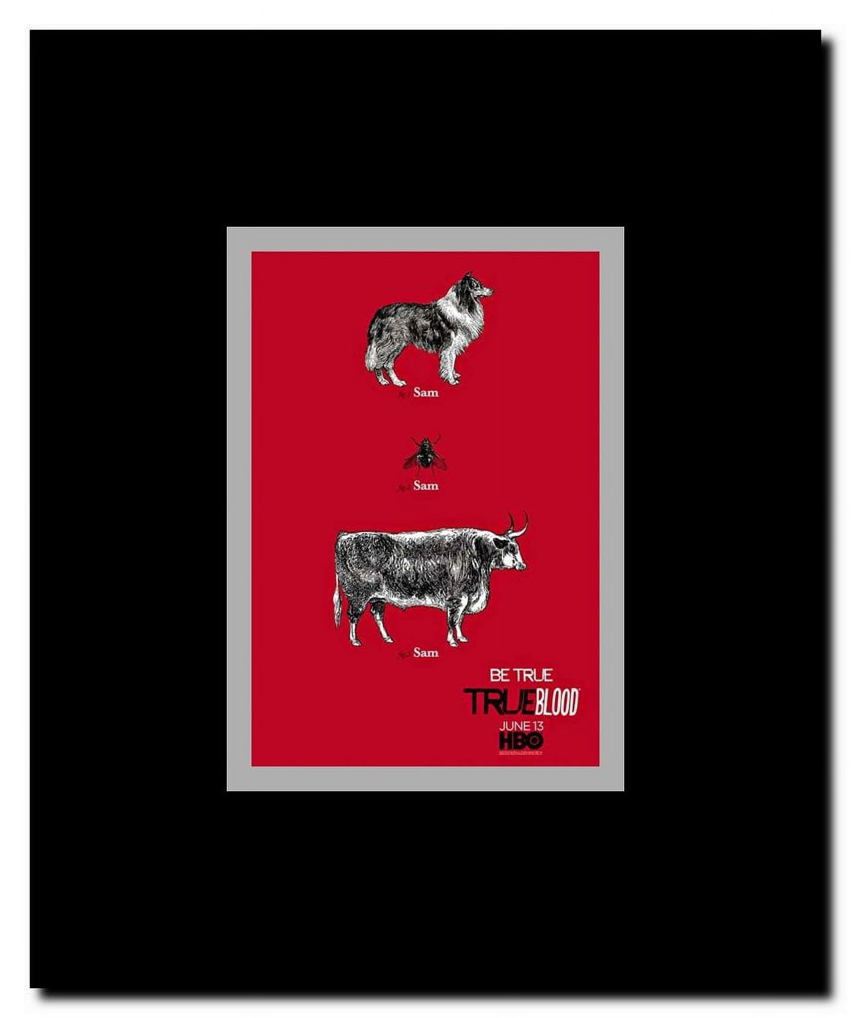 True Blood Framed Movie Poster