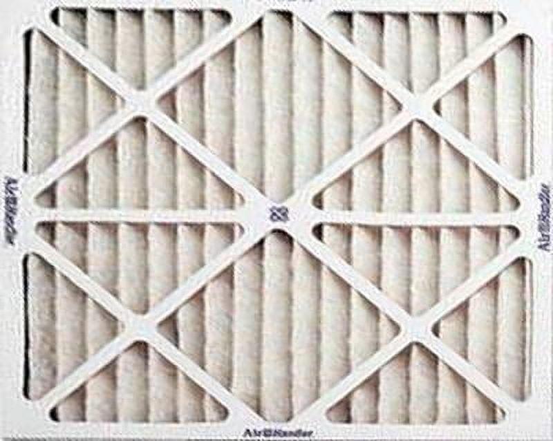True blue 2024 pleated air filter