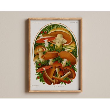 Vintage Traditional Mushroom Types Illustration Print - Adolphe Millot - Fungi Art Poster, Beige