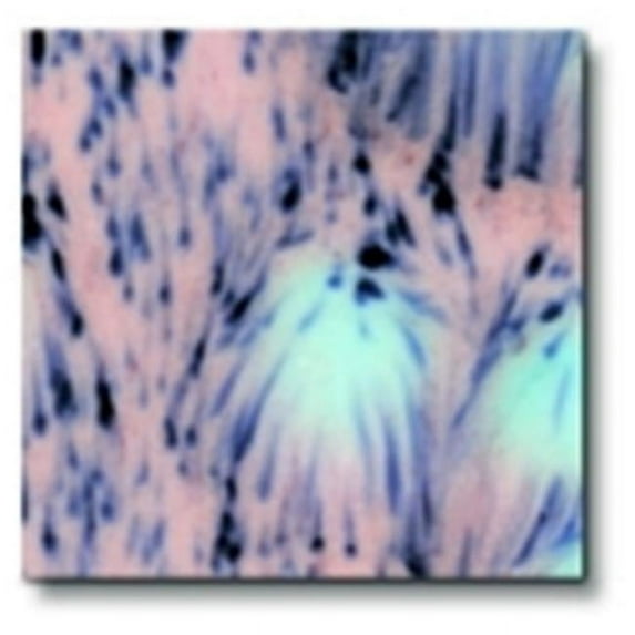 True Flow Non-Toxic Crystal Magic Glaze 1 Pint Northern Light