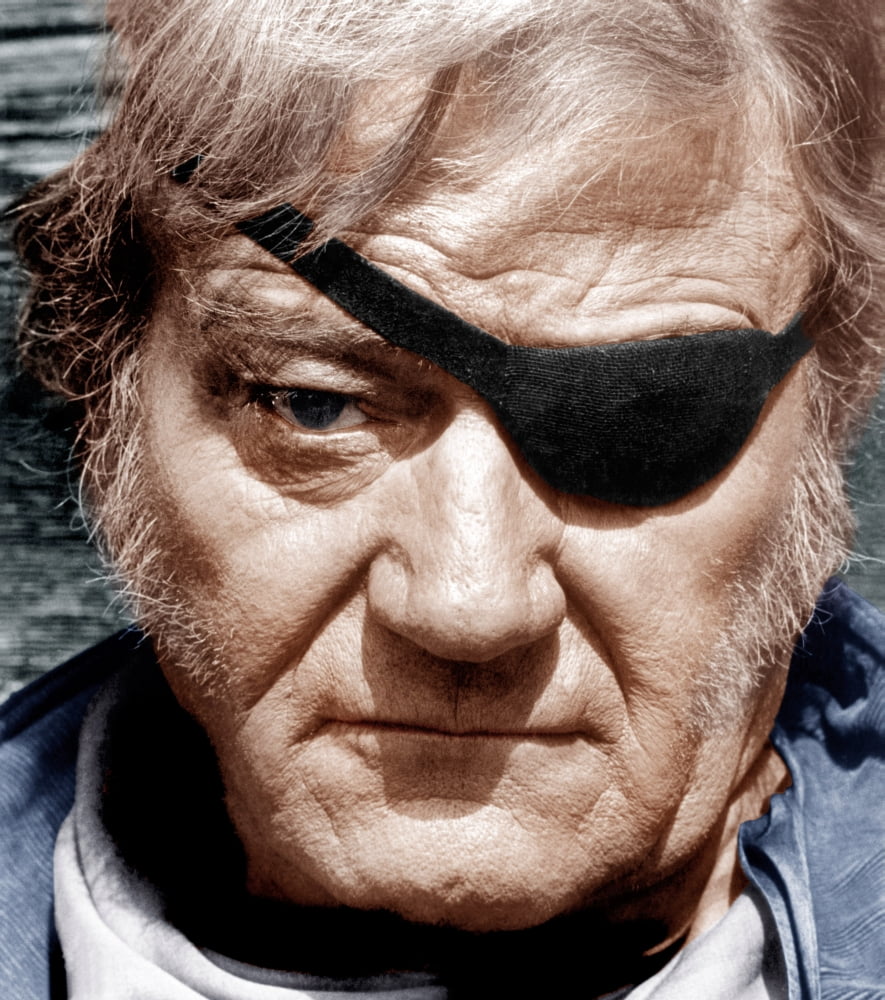 True Grit Canvas Art - (16 x 20)