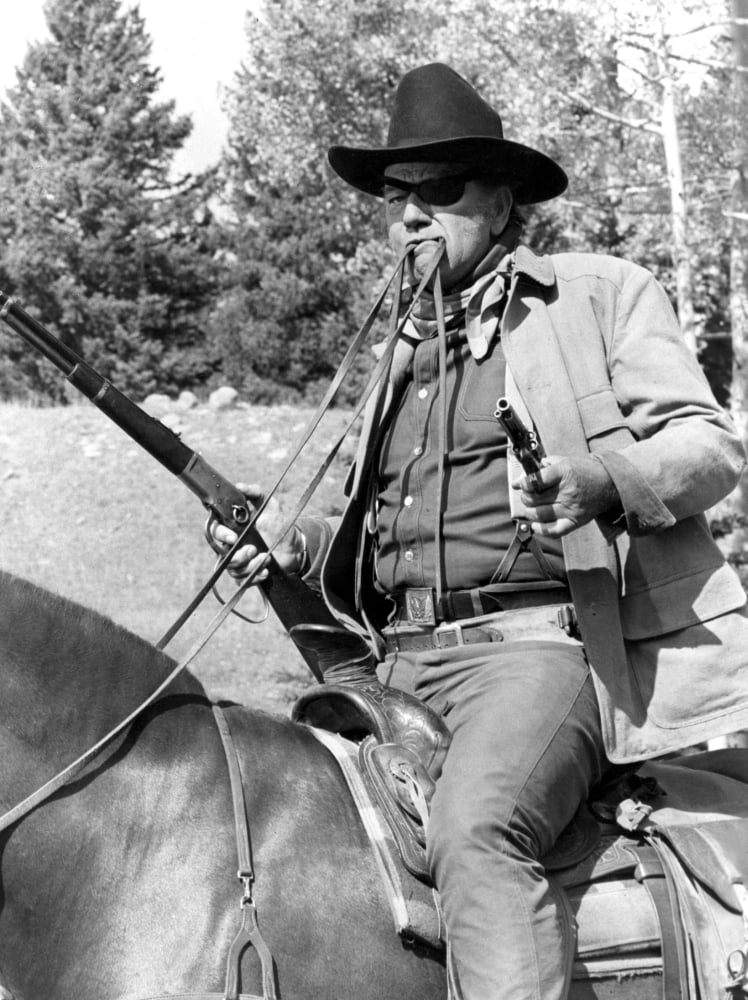True Grit Canvas Art - (16 x 20)