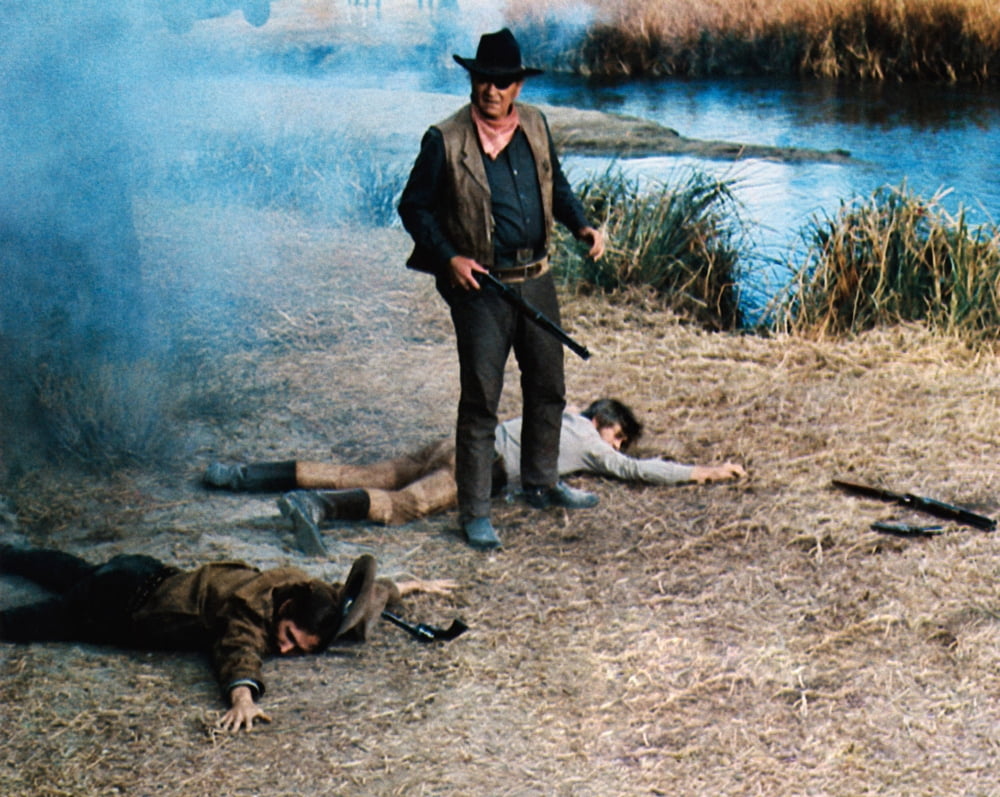 True Grit Canvas Art - (20 x 16)
