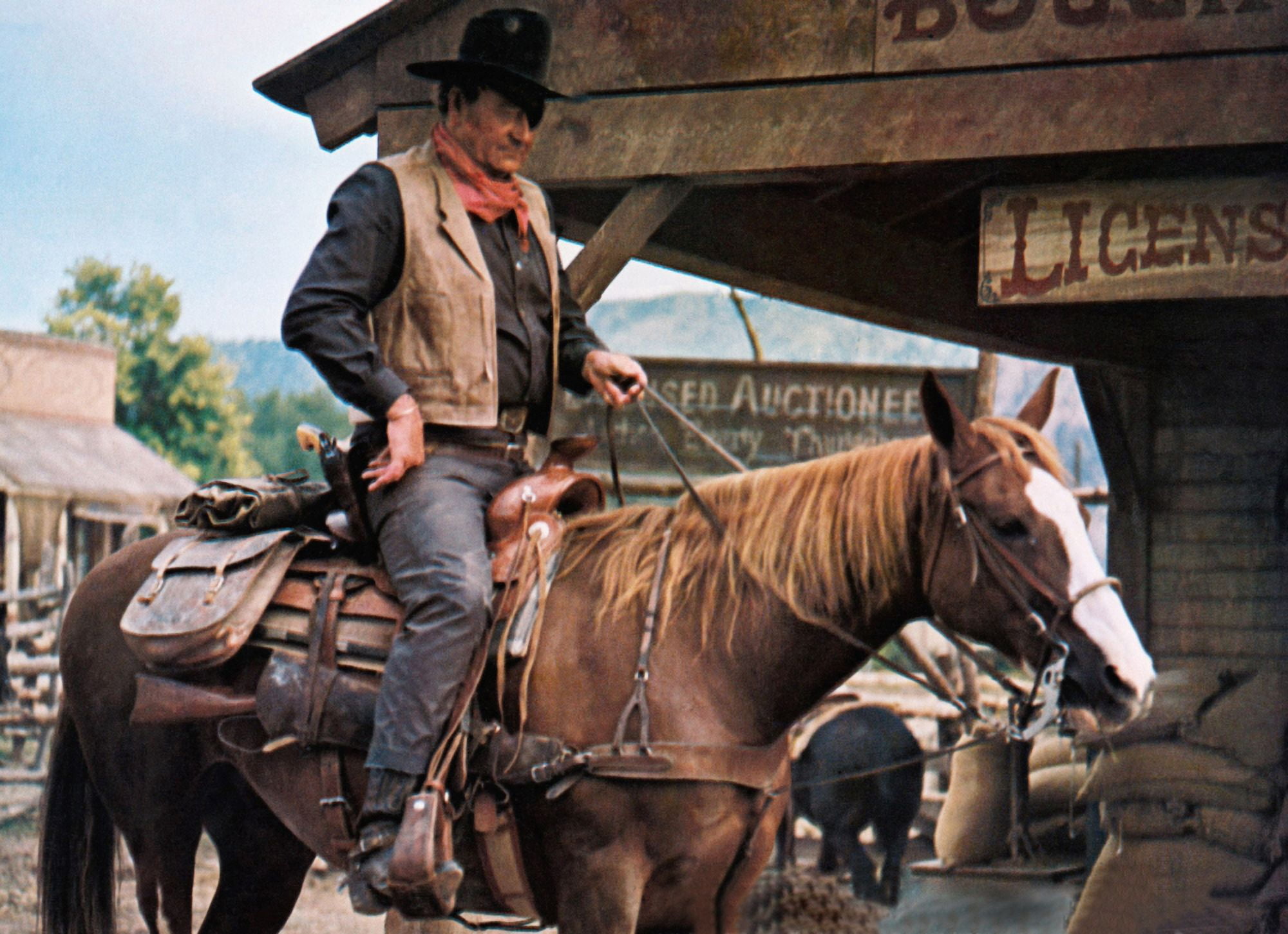 True Grit Canvas Art - (20 x 16)
