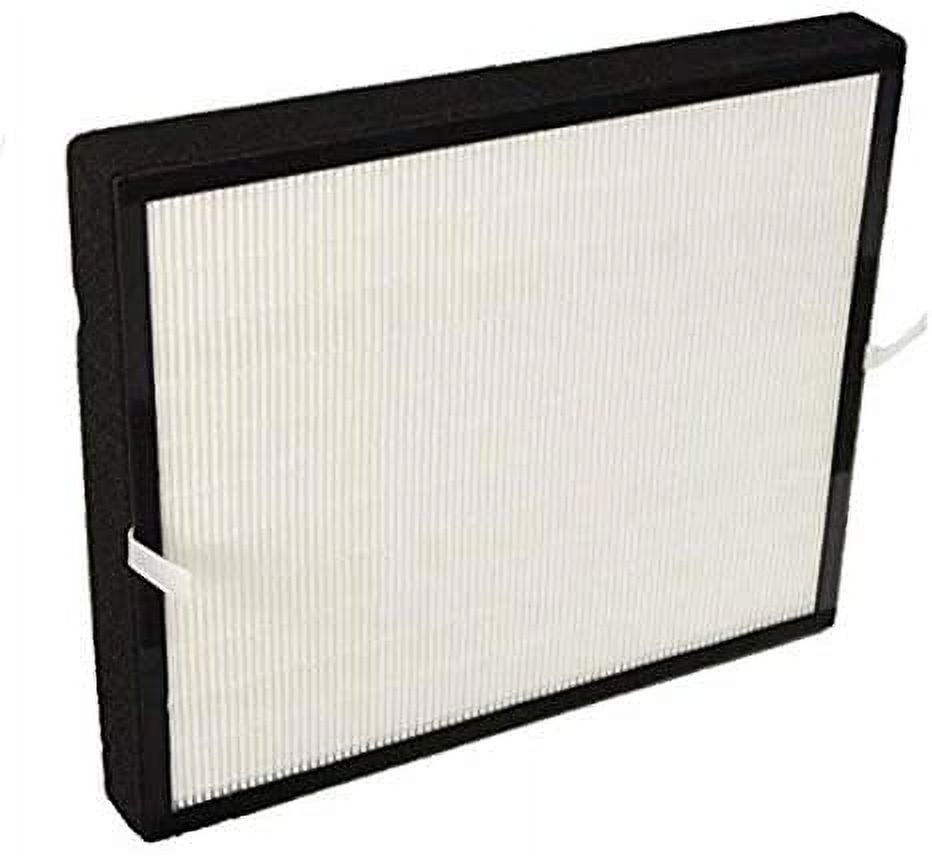 True HEPA Activated Carbon Air Filter Replacement Set
