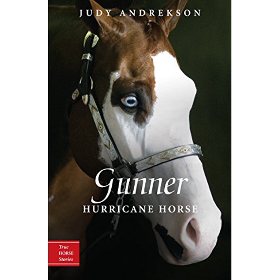 Pre-Owned Gunner: Hurricane Horse (Paperback) 0887769055 9780887769054