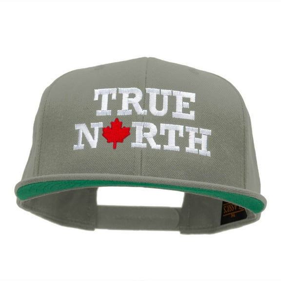 True North Embroidered Wool Blend Snapback - Silver OSFM