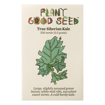 True Siberian Kale Seeds