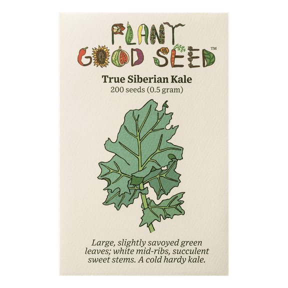 True Siberian Kale Seeds
