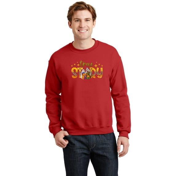 True Story Funny Christmas Holiday Religious Quote Graphic - Perfect Birthday Present SW11316 Unisex Sweatshirt, Up to Size 5XL