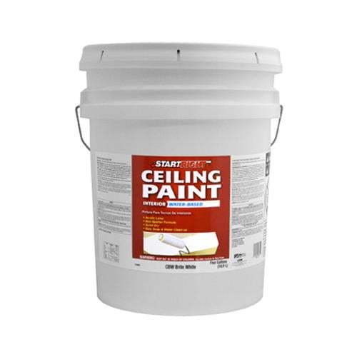 True Value Mfg CBW5GL Painter's Select Everyday 5Gallon Brite White