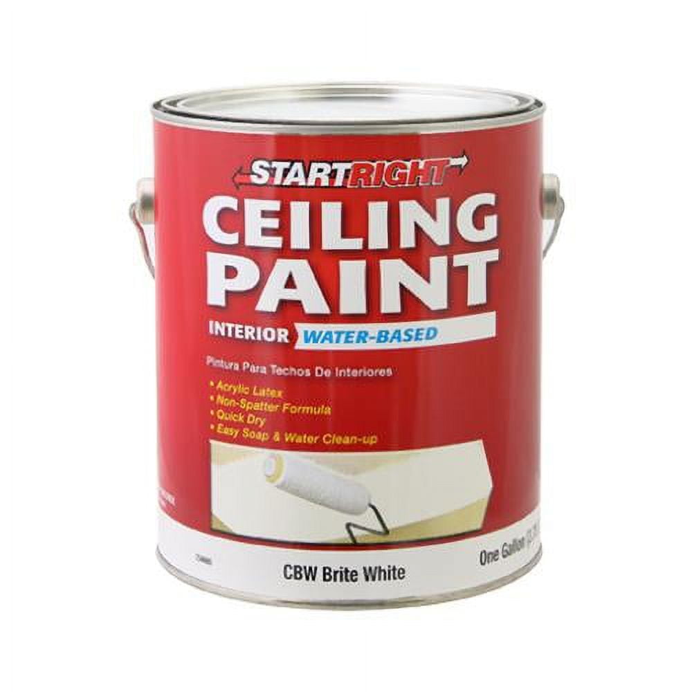 True Value Mfg CBWGL Painter's Select Everyday Gallon Brite White Flat