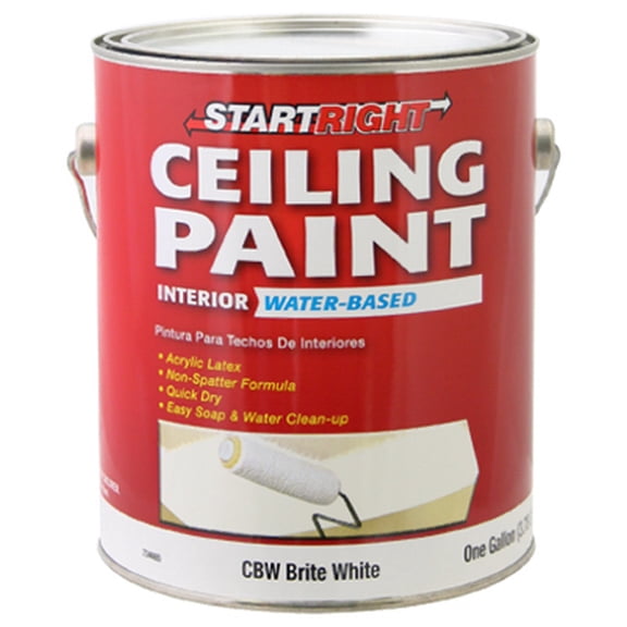 CBW True Value Start Right Gallon Brite White Flat Latex Ceiling Paint 15 Year Warranty