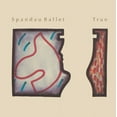 thumbnail image 1 of True (Vinyl), 1 of 1