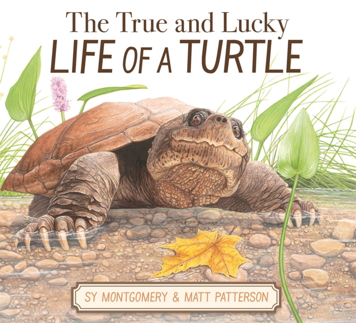 True and Lucky Life of a Turtle, (Hardcover)