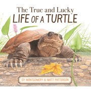 True and Lucky Life of a Turtle, Hardcover