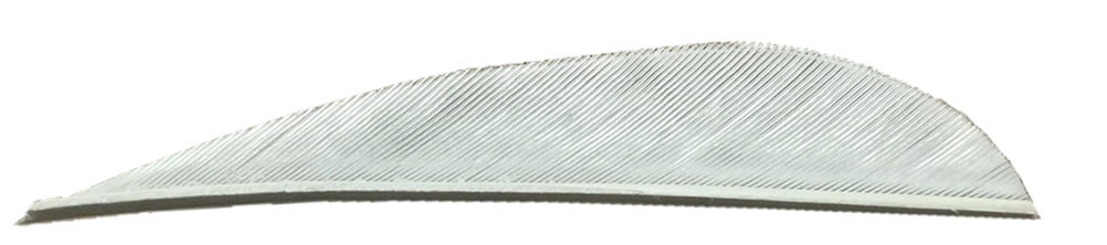 TRUEFLIGHT Shield Cut Feathers - 4 Inch Right Wing White, Pack Of 100
