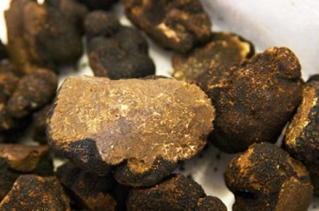 Truffles at La Truffe de Ventoux Truffle Farm Canvas Art - Per Karlsson DanitaDelimont (26 x 18)