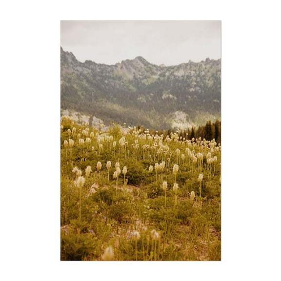 Truffula Trees - Photography Nature Wilderness Mountain Landscape Scenic Flowers Pastoral Unframed Wall Art Print 20 x 30 inches