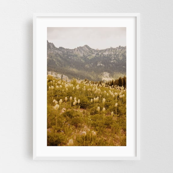 Truffula Trees - Photography Nature Wilderness Mountain Landscape Scenic Flowers Pastoral White Framed Wall Art Print 24 x 36 inches