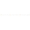 thumbnail image 1 of Trulux RGB Plus White High Output LED Strip Light - 100 ft. Reel - 4.4 W by ft. - 240 Lumens by ft. - 24 V, White, 1 of 1