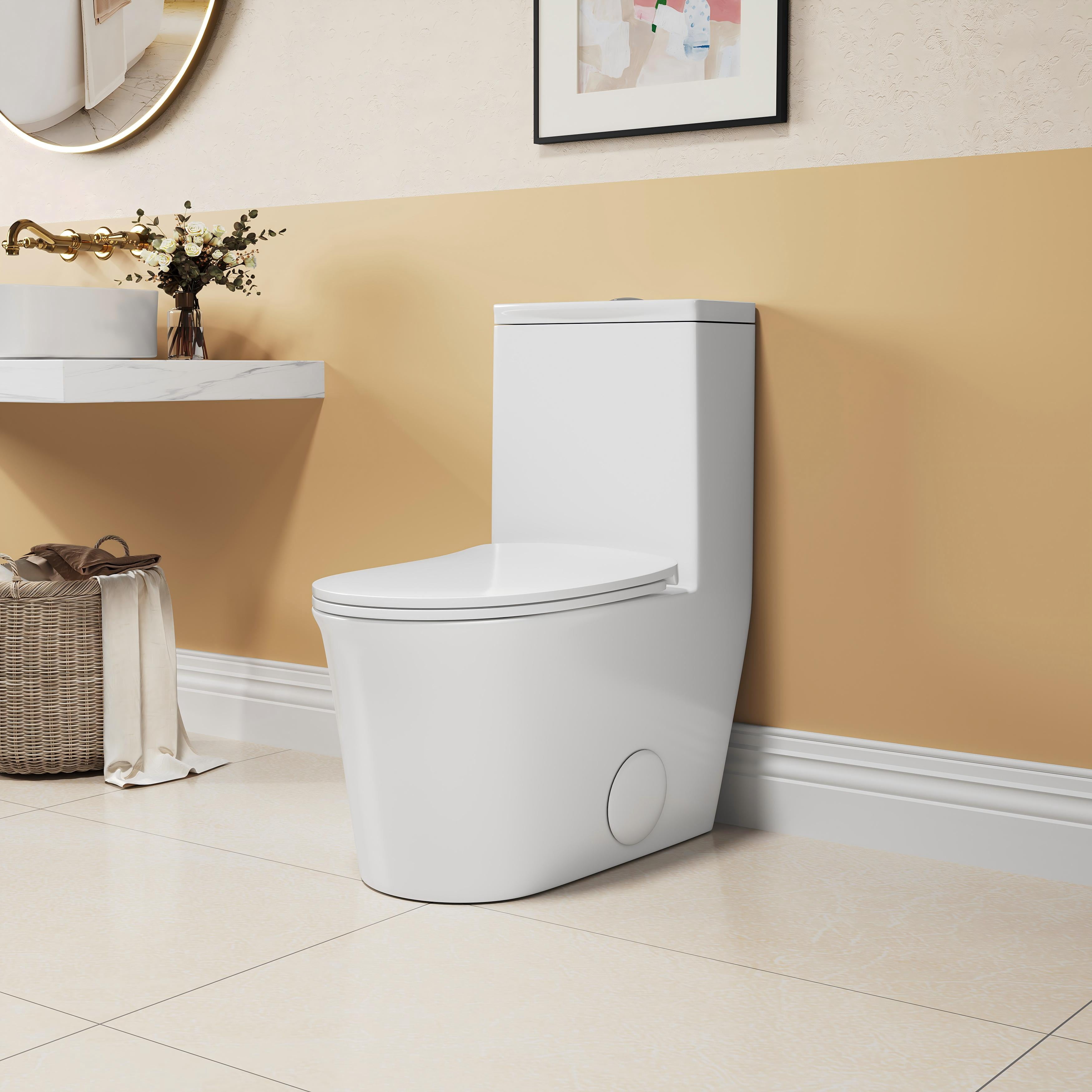 TrumanPick Elongated One Piece Toilet Dual Flush, 17" ADA Comfort Chair Height Seat Compact Toilet for Bathroom, Standard 1.1/1.6GPF, 12" Rough-in, White