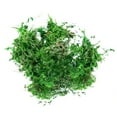 Trump 2024 HQ Moss Artificial Moss For Potted Plants Greenery Moss Home