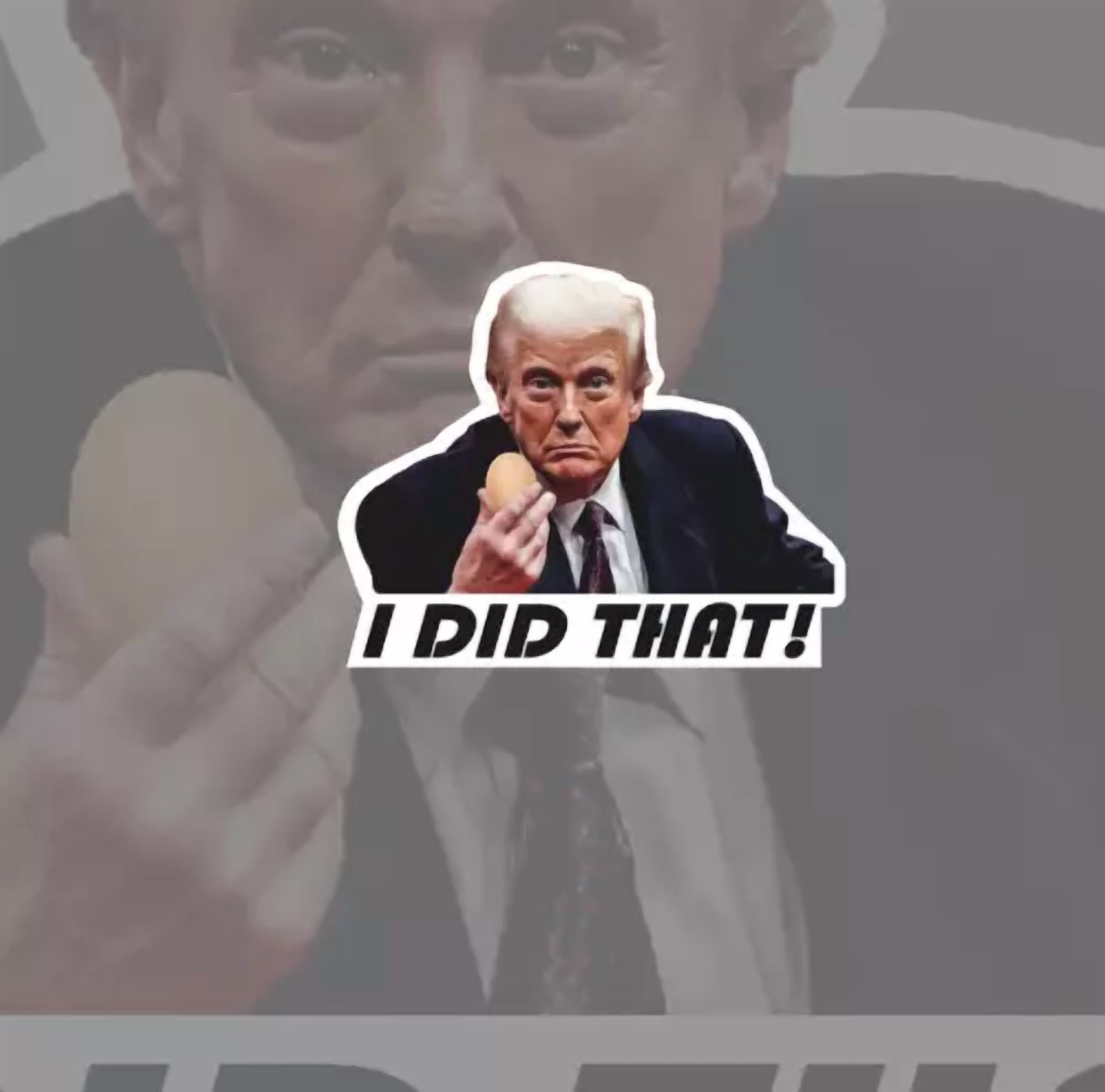 Trump Sticker Sheets, I Did That! Egg Price Stickers 2025 Maga 64 Total Stickers