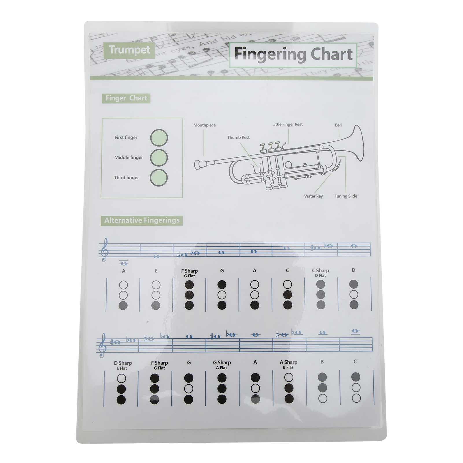 Trumpet Chord Chart Fingering Note Music Instrument Reference Guide for ...