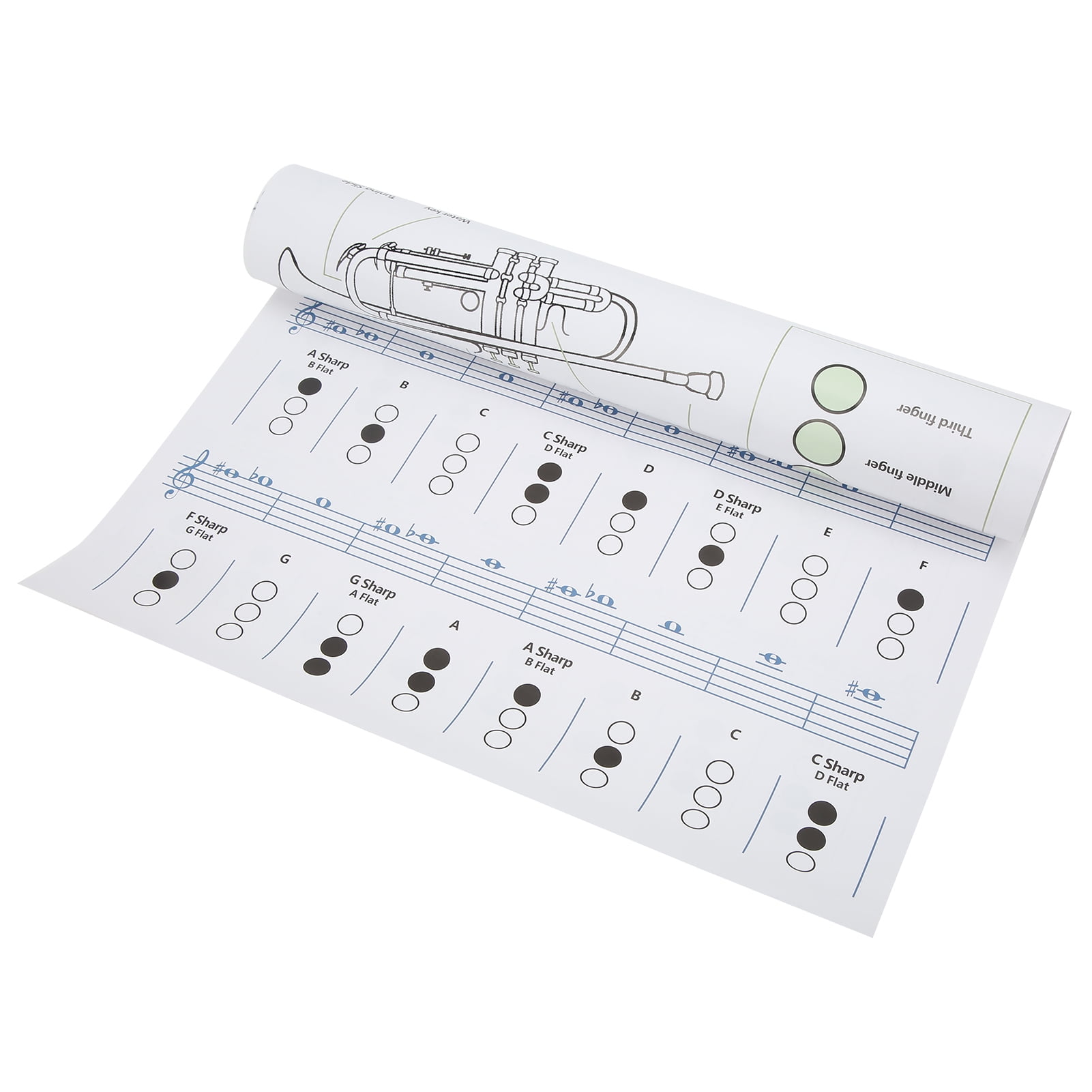 Trumpet Chord Chart, Trumpets Note Reference Art Paper Portable Scale