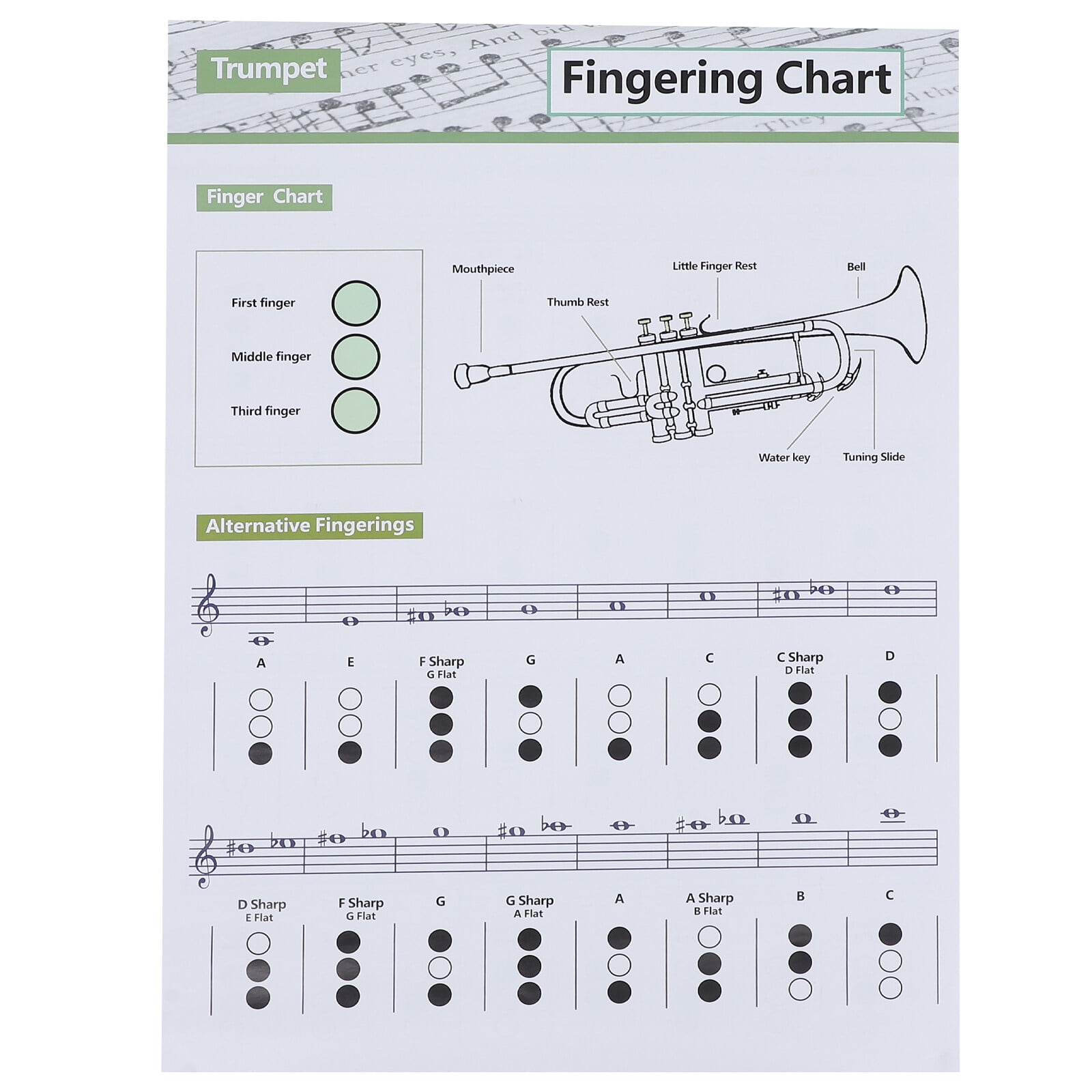 Trumpet Scales Finger Chart Practice Charts Chord Music Chords Poster