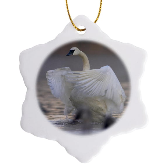 3drose, Trumpeter Swan Flapping Its Wings, Magness Lake, Arkansas., 3 inch Snowflake Porcelain Ornament