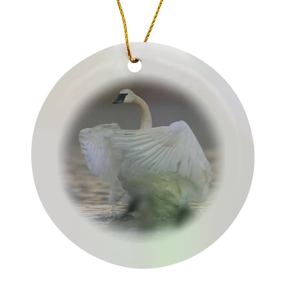 3drose, Trumpeter Swan Flapping Its Wings, Magness Lake, Arkansas., Circle Porcelain Ornament