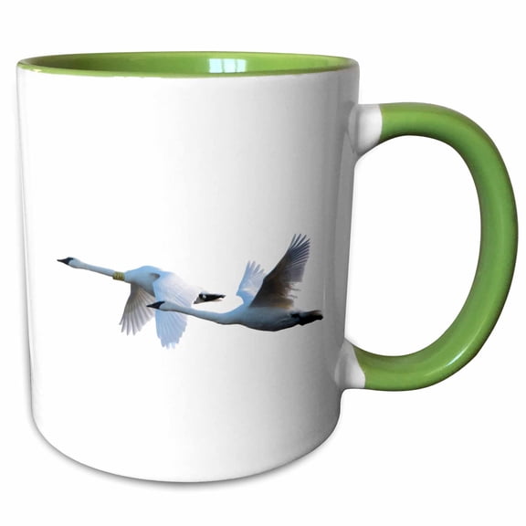 3drose, Trumpeter Swans in Flight on White Background, Marion Co., Illinois, 11oz Two-tone Green Mug