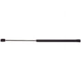 thumbnail image 1 of Trunk Strut - Compatible with 1995 - 1999 Buick Riviera 1996 1997 1998, 1 of 2