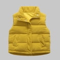 thumbnail image 1 of FAIOROI Toddler Cotton Padded Vest 3T Yellow - Warm Fall Winter, Soft Breathable, Stand-Up Collar, Easy On/Off Toddler Outerwear, 1 of 4
