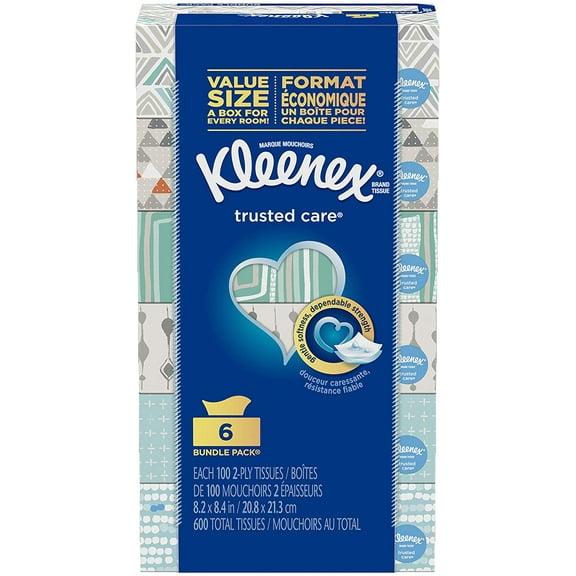 Trusted Care Everyday Facial Tissues, 6 Rectangular Boxes, 100 Tissues per Box (600 Tissues Total)