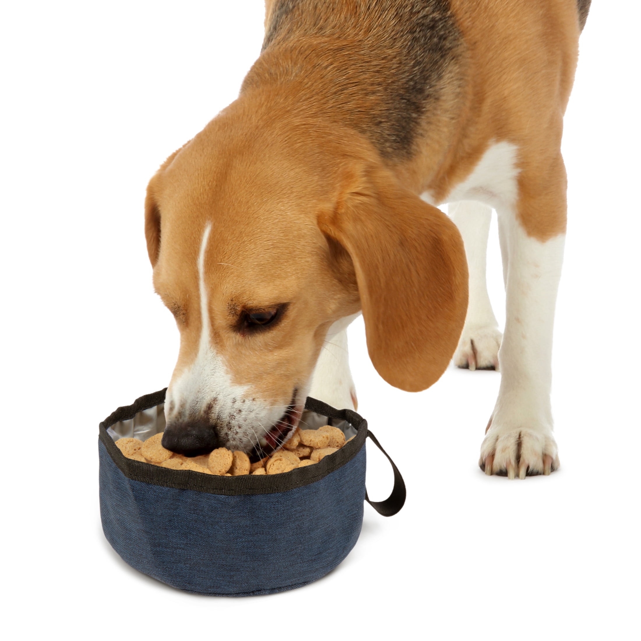 TrustyPup Pet Travel Bowl for Food & Water, Denim, Holds up to 4 Cups (1 L)