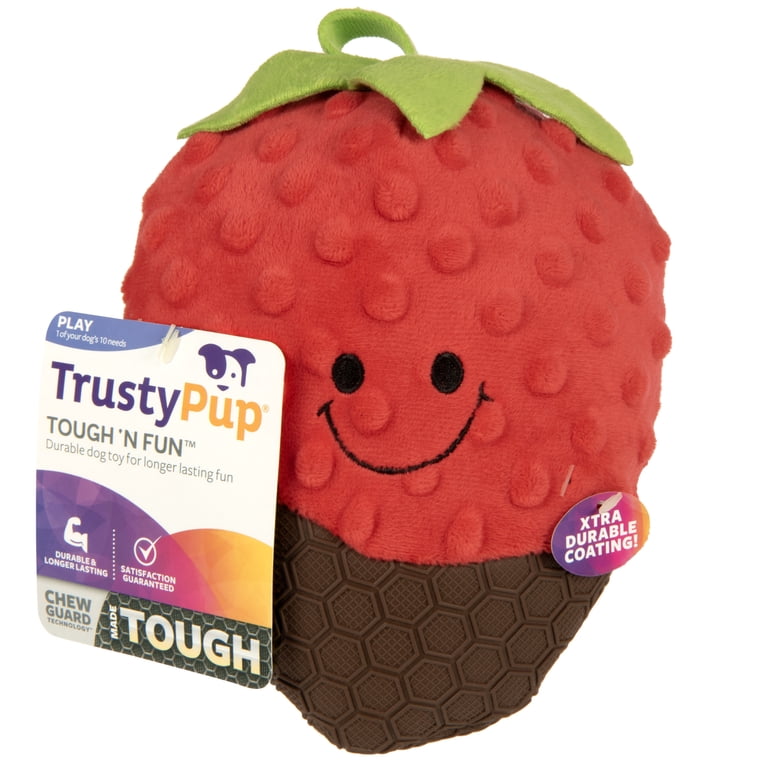 TrustyPup Durable Cocoa Berry Large Dog Toy with Squeaker, TPR