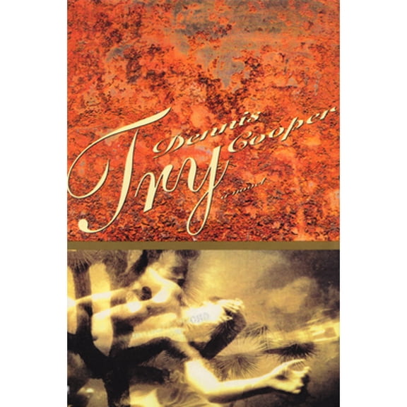 Pre-Owned Try (Paperback) 080213338X 9780802133380