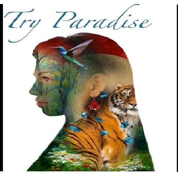 Try Paradise - Try Paradise - World / Reggae - CD