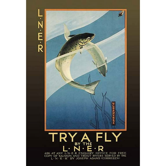 Try a Fly Museum quality giclee print canvas wrap(20" x 30")