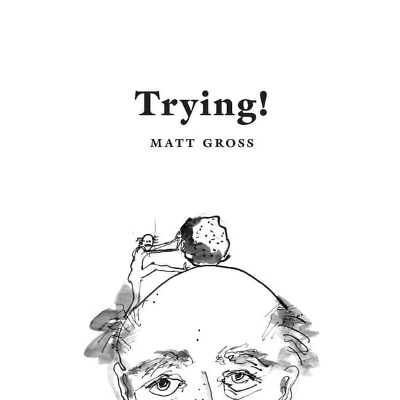 Trying!: Eleven Attempts to Make Sense of Our World, (Paperback)