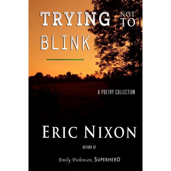 Trying Not To Blink: A Poetry Collection (Paperback)