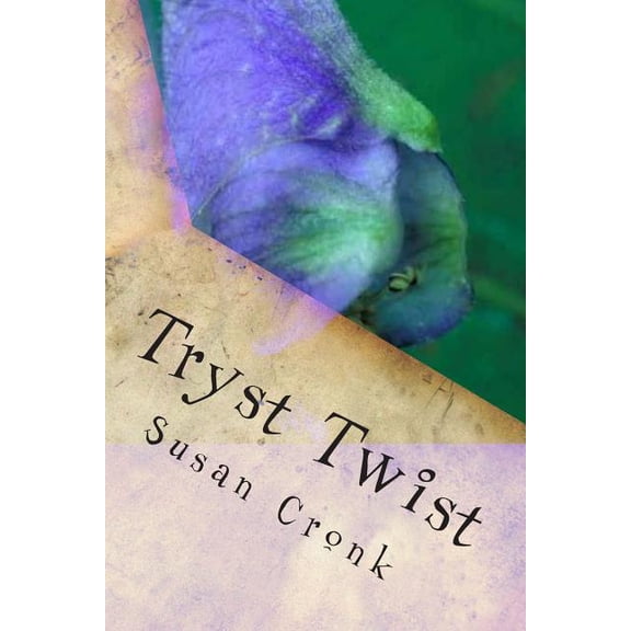 Tryst Twist Paperback 1508811881 9781508811886 Susan R Cronk