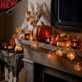 thumbnail image 1 of Tryvkinvive 10 Leds Halloween Mesh Ball String Light 59.05in,Decorative Woven Ball Light String for Halloween Decorations,Led Globe Fairy Lights for Halloween Indoor Outdoor Tree Porch Decor Black, 1 of 7