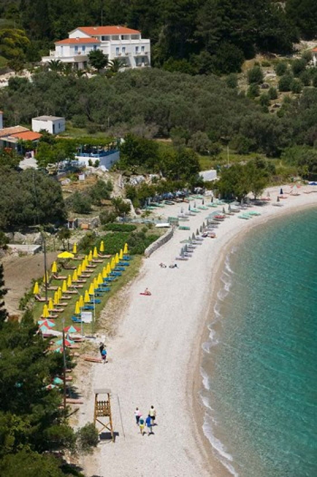 Tsamadou Beach Kokkari Samos Aegean Islands Greece Canvas Art - Walter Bibikow DanitaDelimont (19 x 28)