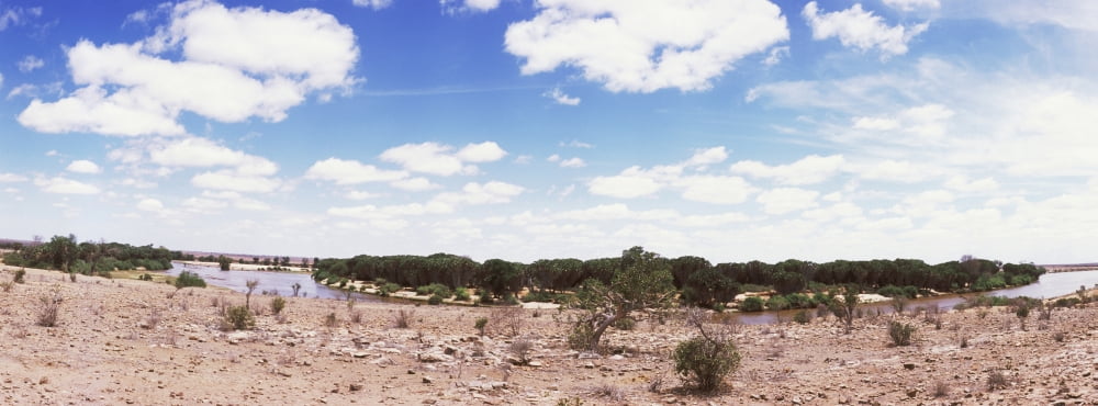 Tsavo East National Park Kenya Canvas Art - Panoramic Images (27 x 9)