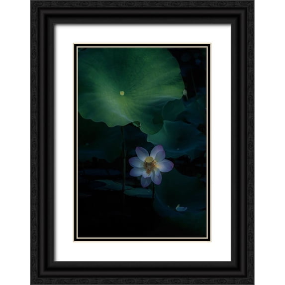 Tseng, Judy 11x14 Black Ornate Wood Framed with Double Matting Museum Art Print Titled - Comfort Zone!